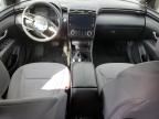 2023 Hyundai Santa Cruz Sel for Sale in Houston, TX - Front End