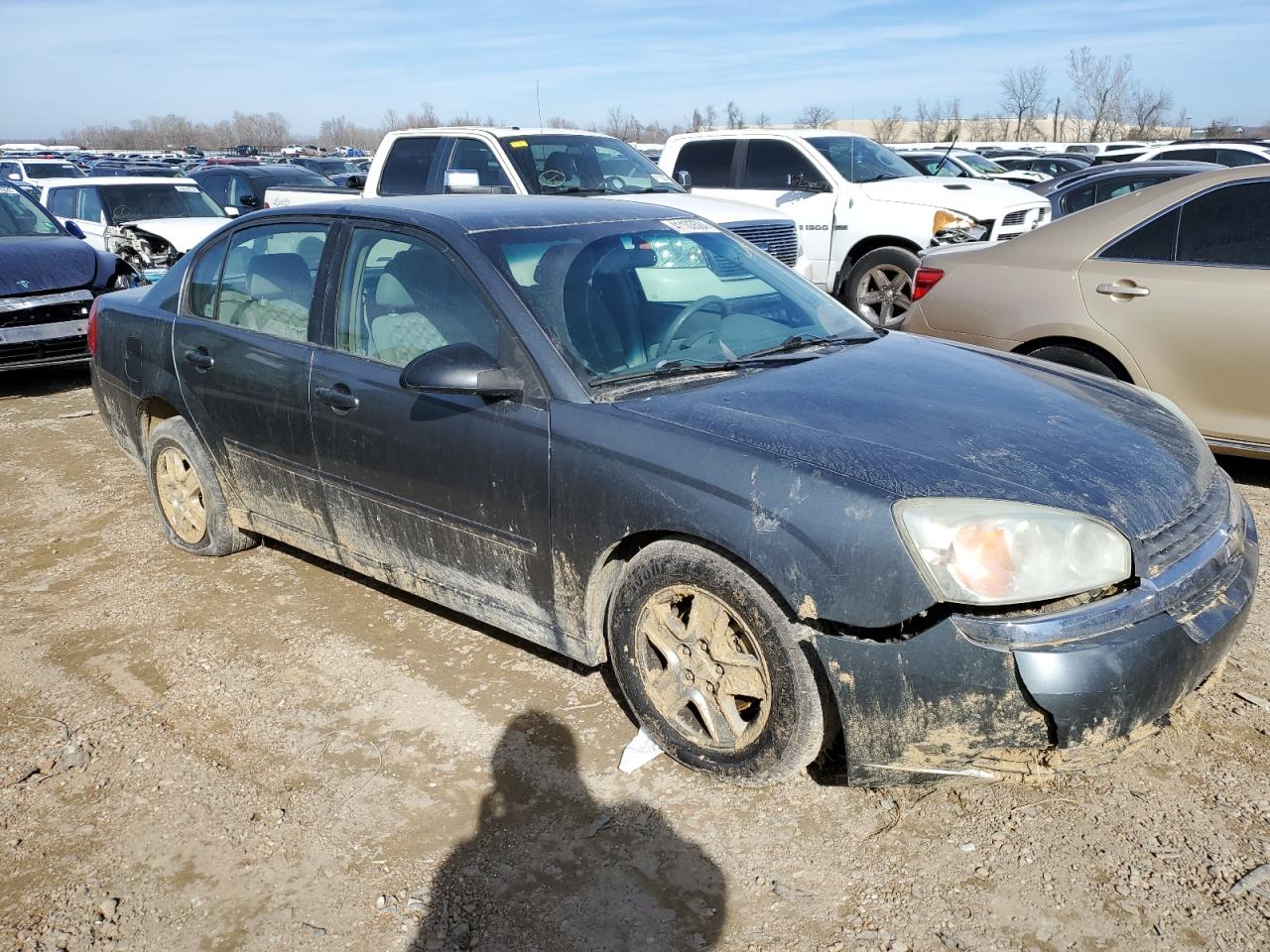 2005 Chevrolet Malibu Ls VIN: 1G1ZT52825F225080 Lot: 41103504