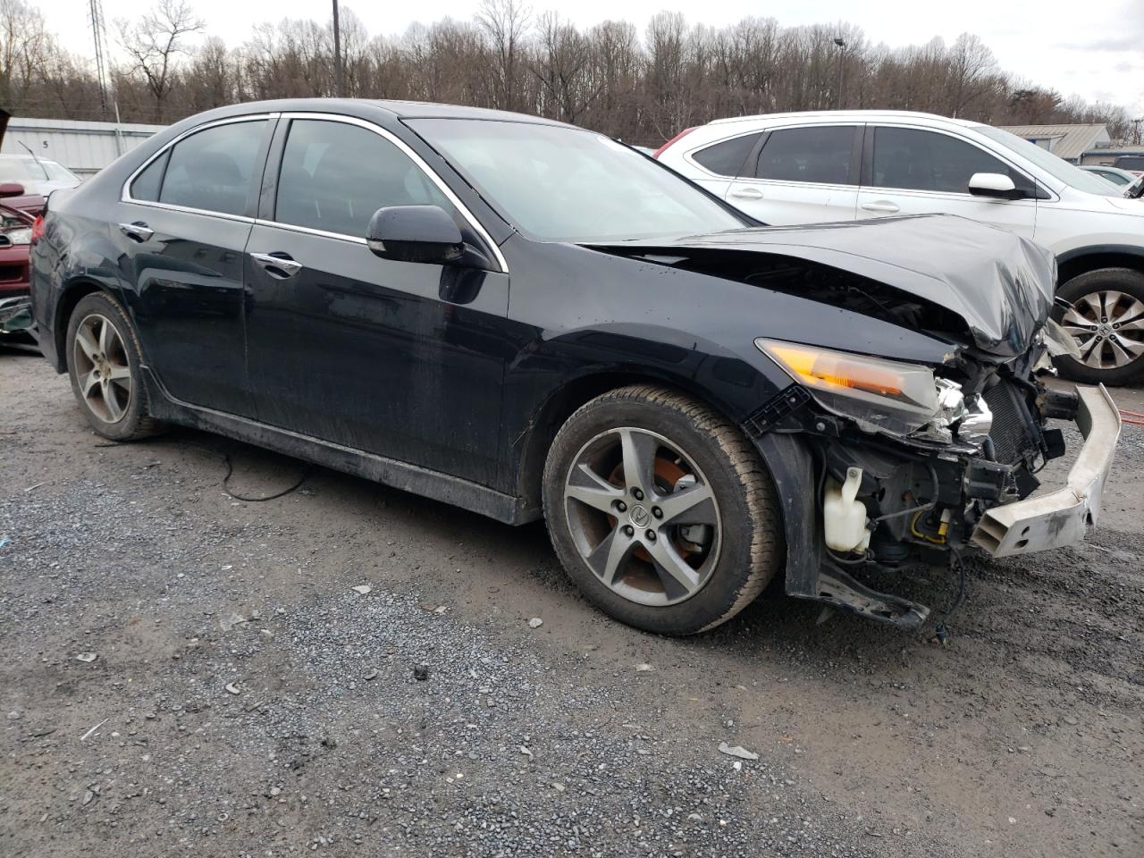 2012 Acura Tsx Se VIN: JH4CU2F86CC010298 Lot: 41061054