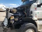 Albuquerque, NM에서 판매 중인 2019 Freightliner Cascadia 126  - All Over