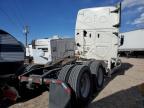Albuquerque, NM에서 판매 중인 2019 Freightliner Cascadia 126  - All Over