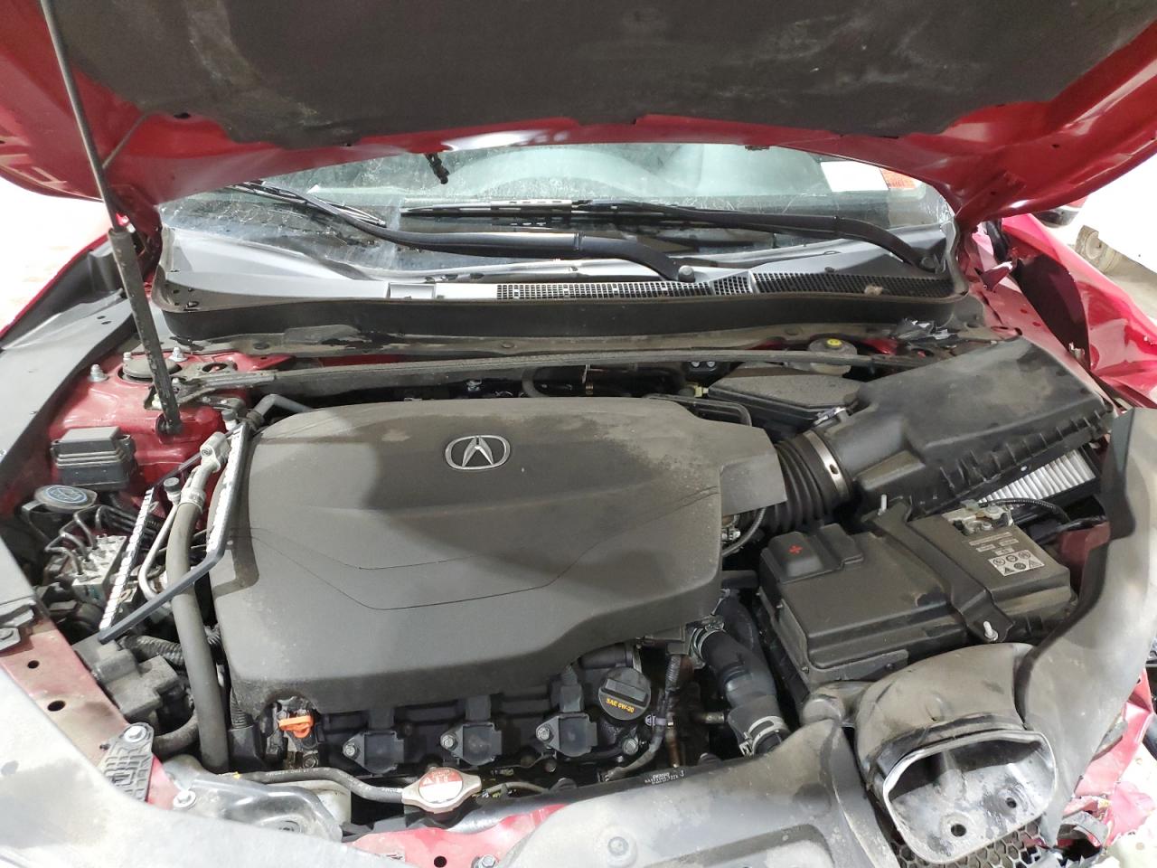 19UUB2F37KA007440 2019 Acura Tlx