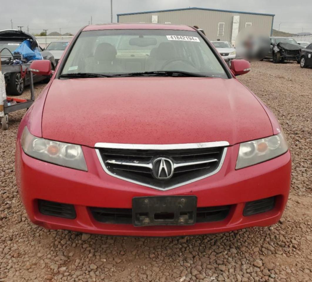2004 Acura Tsx VIN: JH4CL96844C011379 Lot: 41842194