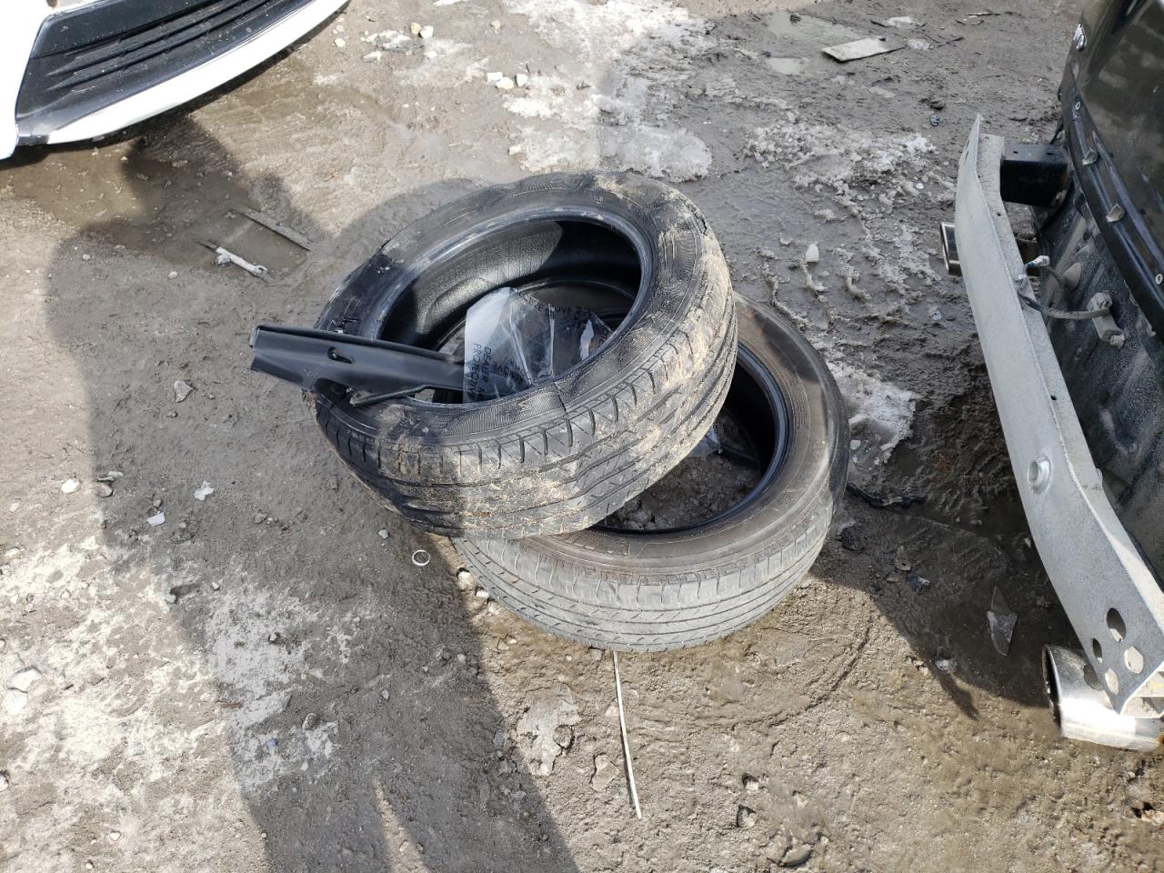 2019 Infiniti Q50 Luxe VIN: JN1EV7AR4KM590117 Lot: 42561214