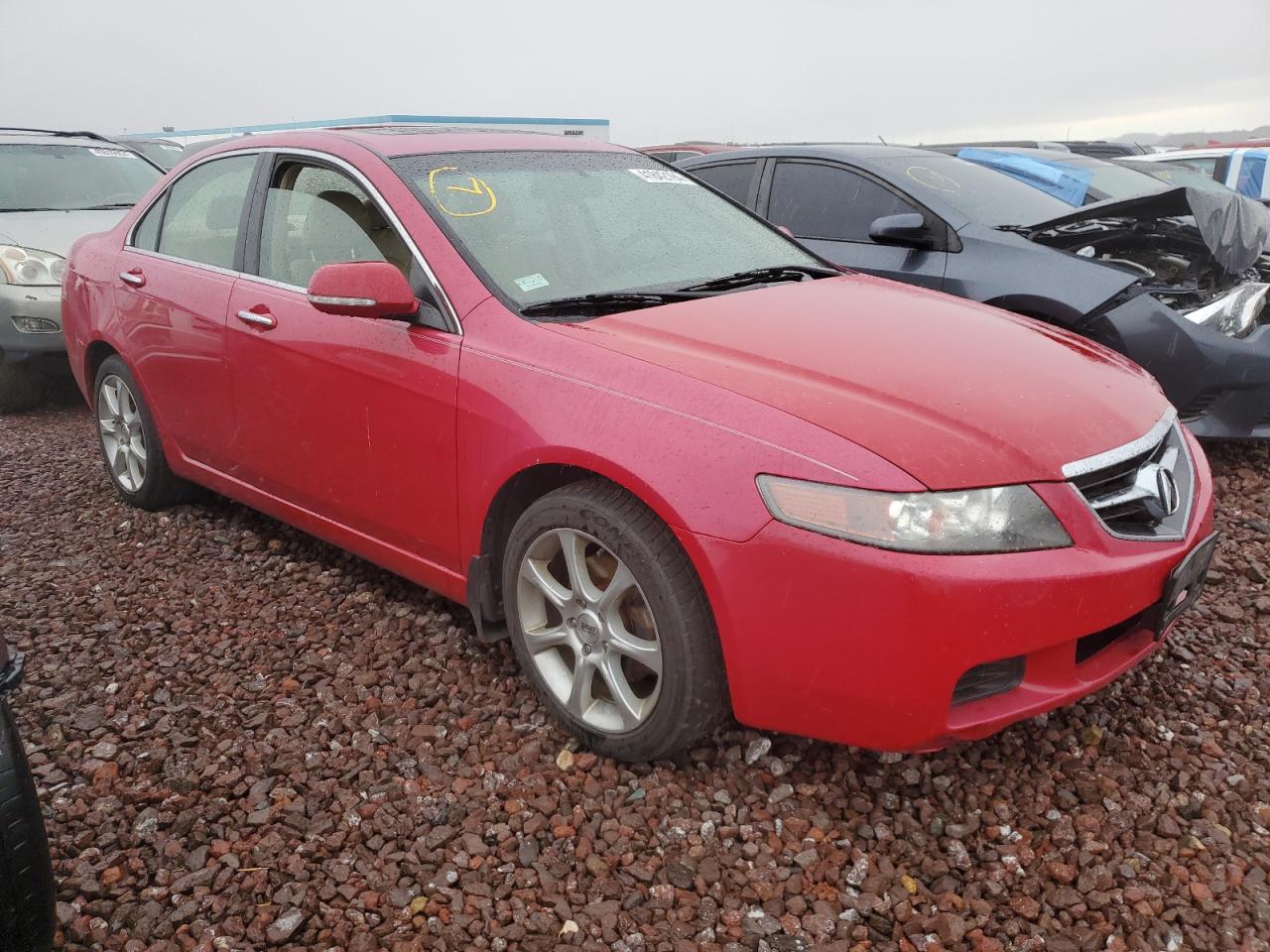 2004 Acura Tsx VIN: JH4CL96844C011379 Lot: 41842194