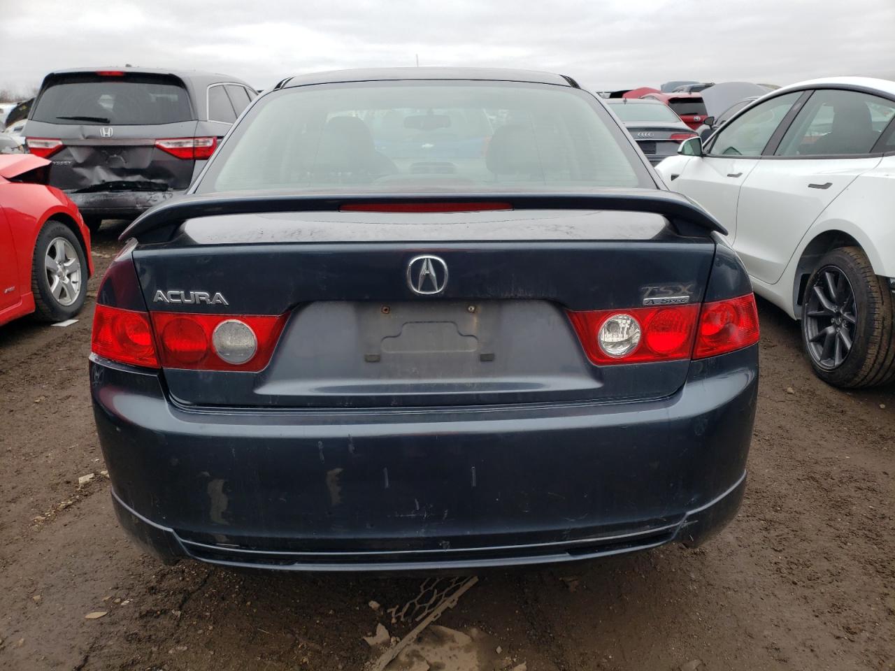 2004 Acura Tsx VIN: JH4CL96834C034006 Lot: 41112654