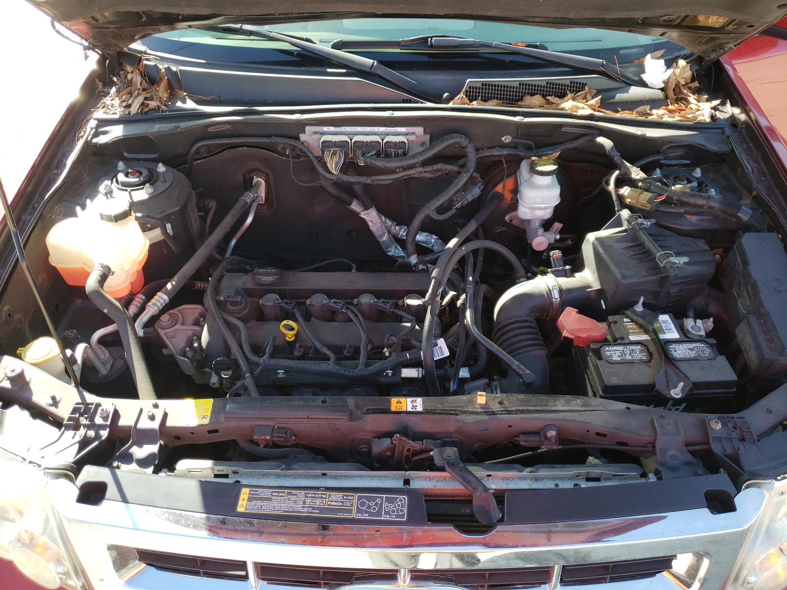 1FMCU0E77BKC29186 2011 Ford Escape Limited