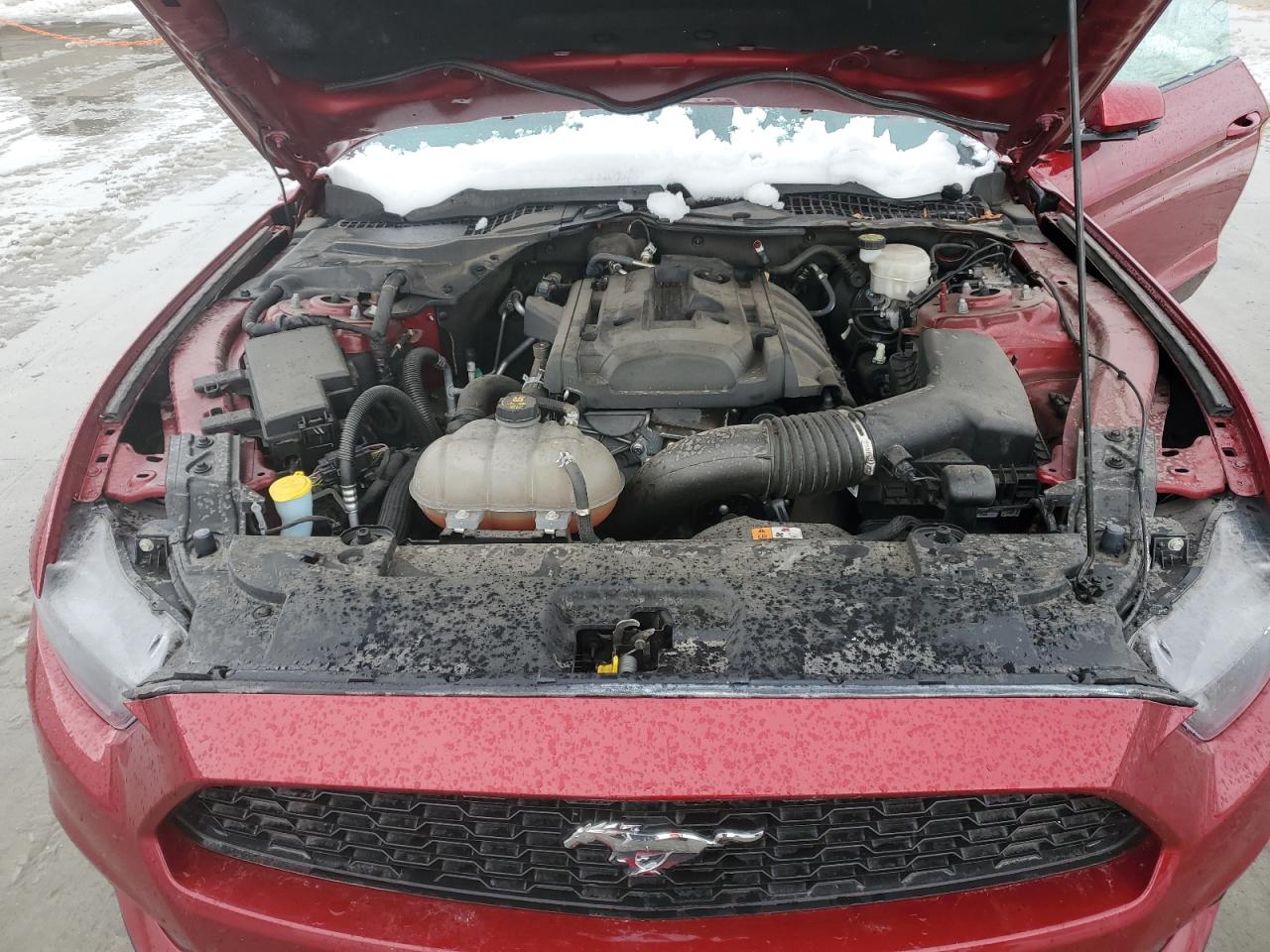 1FA6P8TH9H5347255 FORD ALL Models 2017