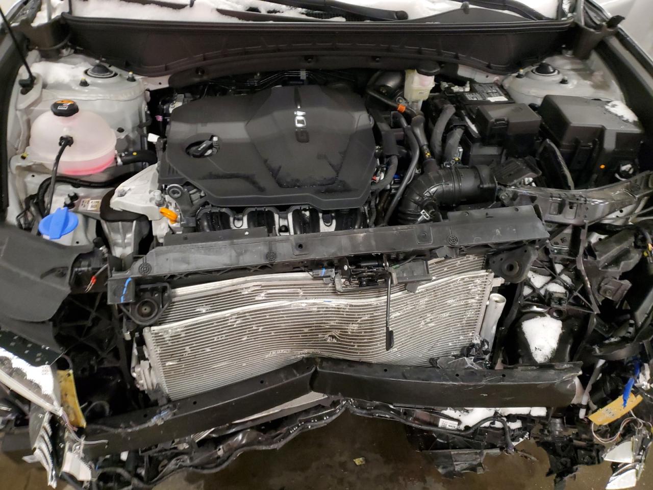 5NMJBCDE4RH373707 HYUNDAI TUCSON 2024
