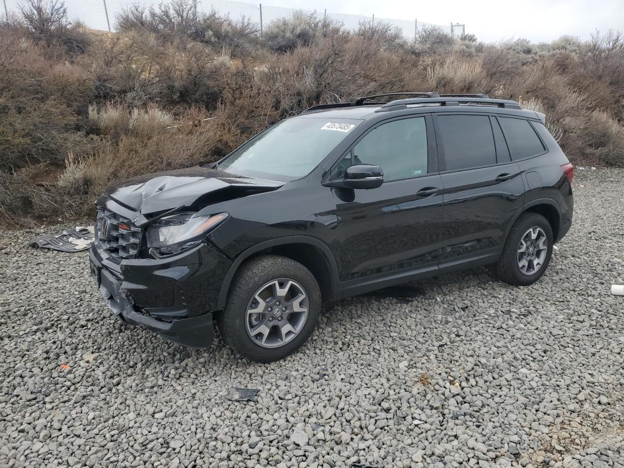 2023 Honda Passport Trail Sport за продажба в Reno, NV - Side