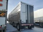 2024 Livestock en Venta en Dyer, IN - All Over