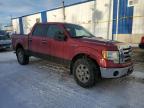 2009 FORD F150 SUPERCREW for sale at Copart NB - MONCTON