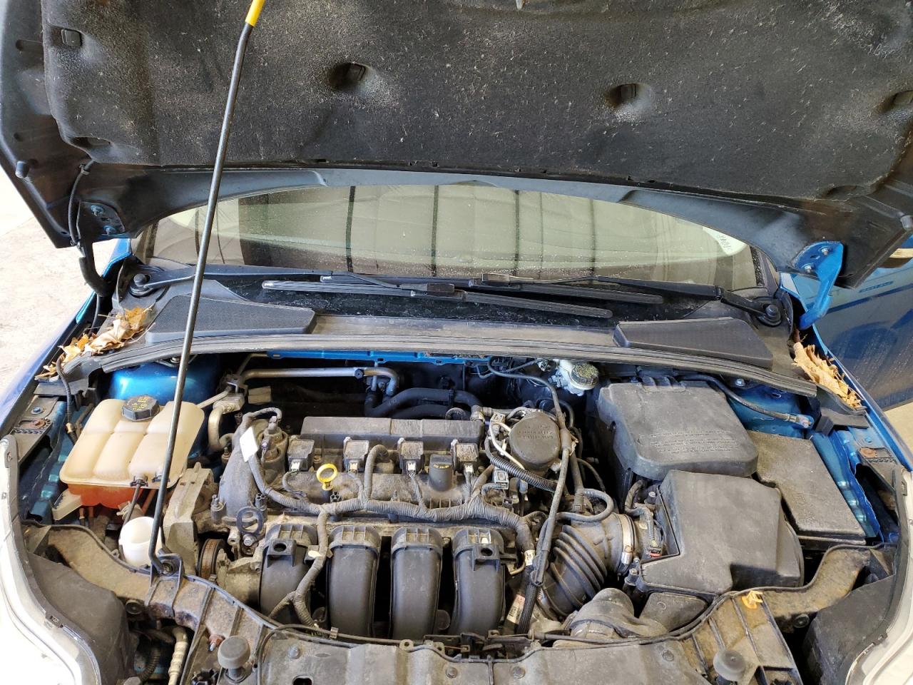 1FADP3K28GL242918 FORD FOCUS 2016