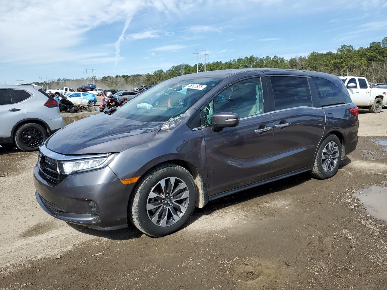 5FNRL6H75NB009210 HONDA All Models 2022