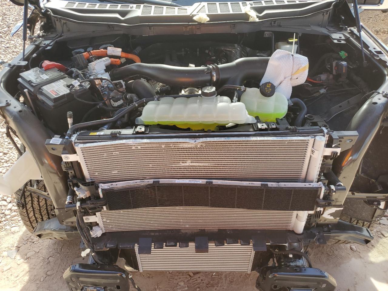 1FTFW5LD4RFA67313 FORD F150 LARIA 2024