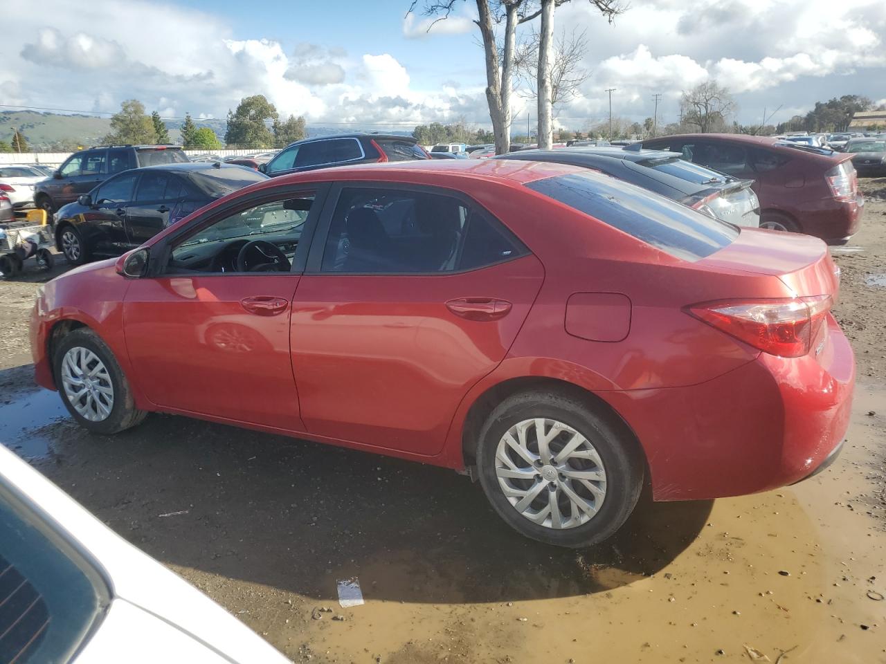 2019 Toyota Corolla - Image 2