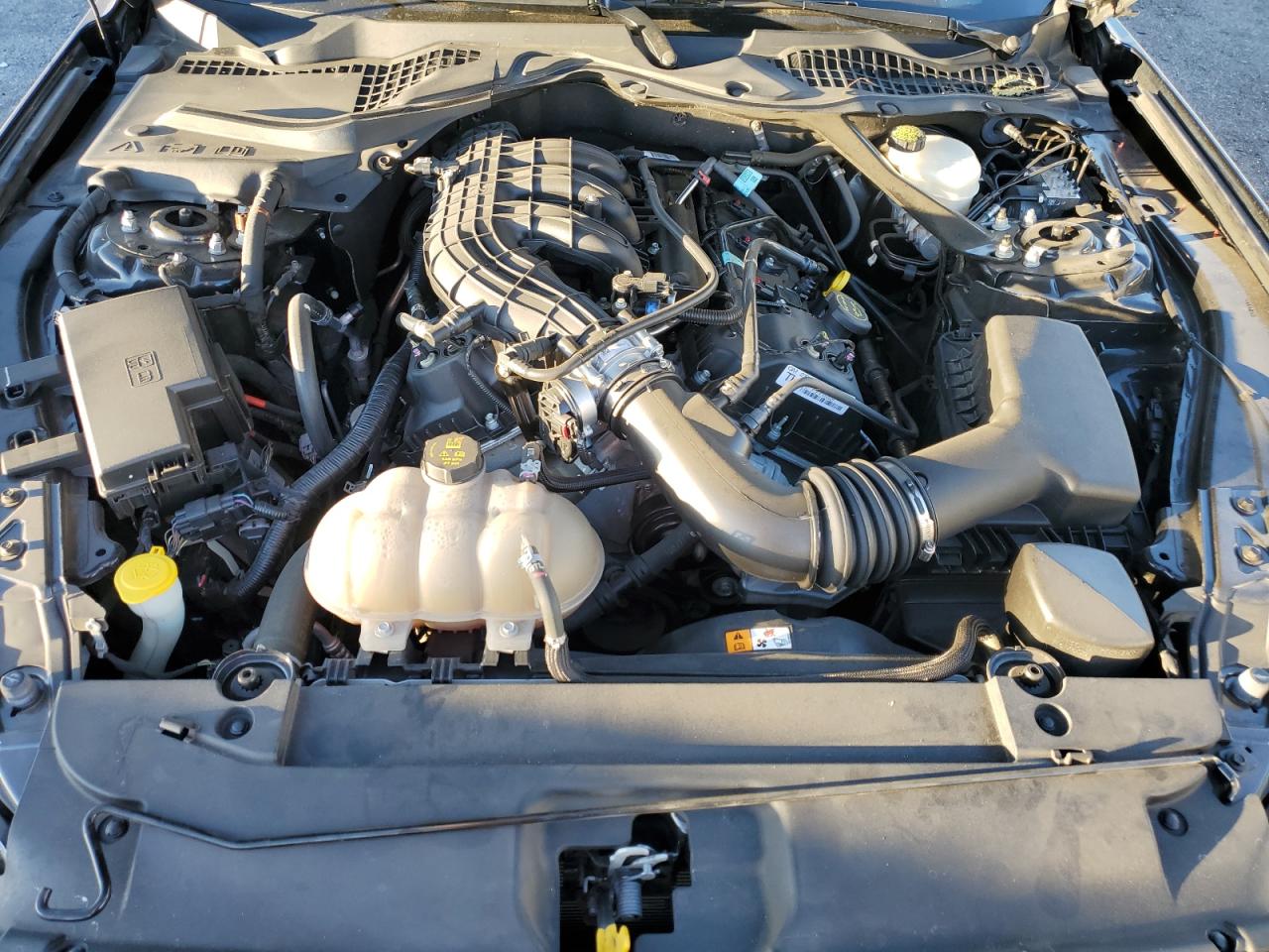1FATP8EM2H5213068 FORD ALL Models 2017