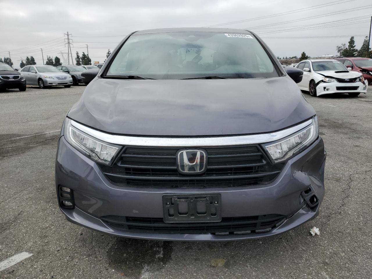 5FNRL6H66PB080121 HONDA All Models 2023