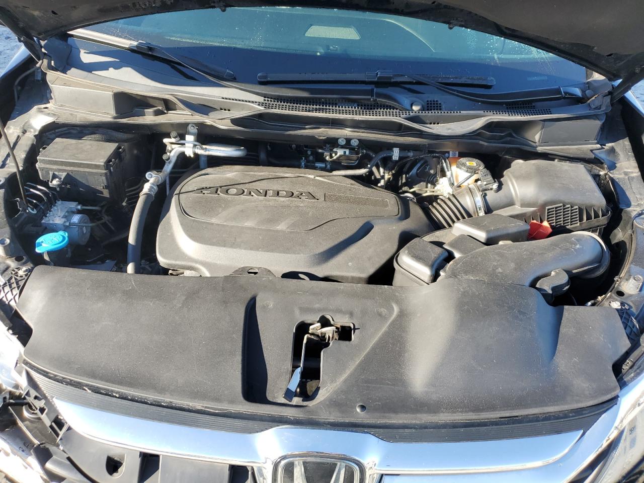 5FNRL6H75KB057396 HONDA All Models 2019