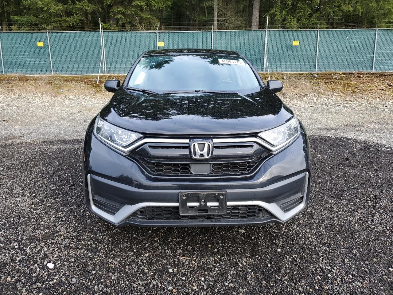 2020 Honda CR-V - Image 5