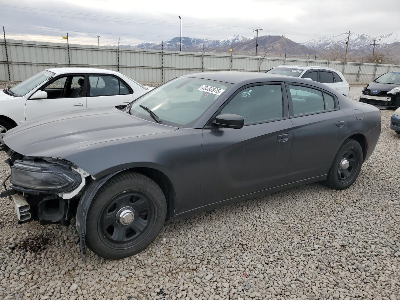 2019 Dodge Charger - Image 1