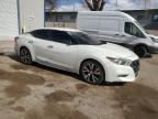 2016 Nissan Maxima 3.5S იყიდება Albuquerque-ში, NM - All Over