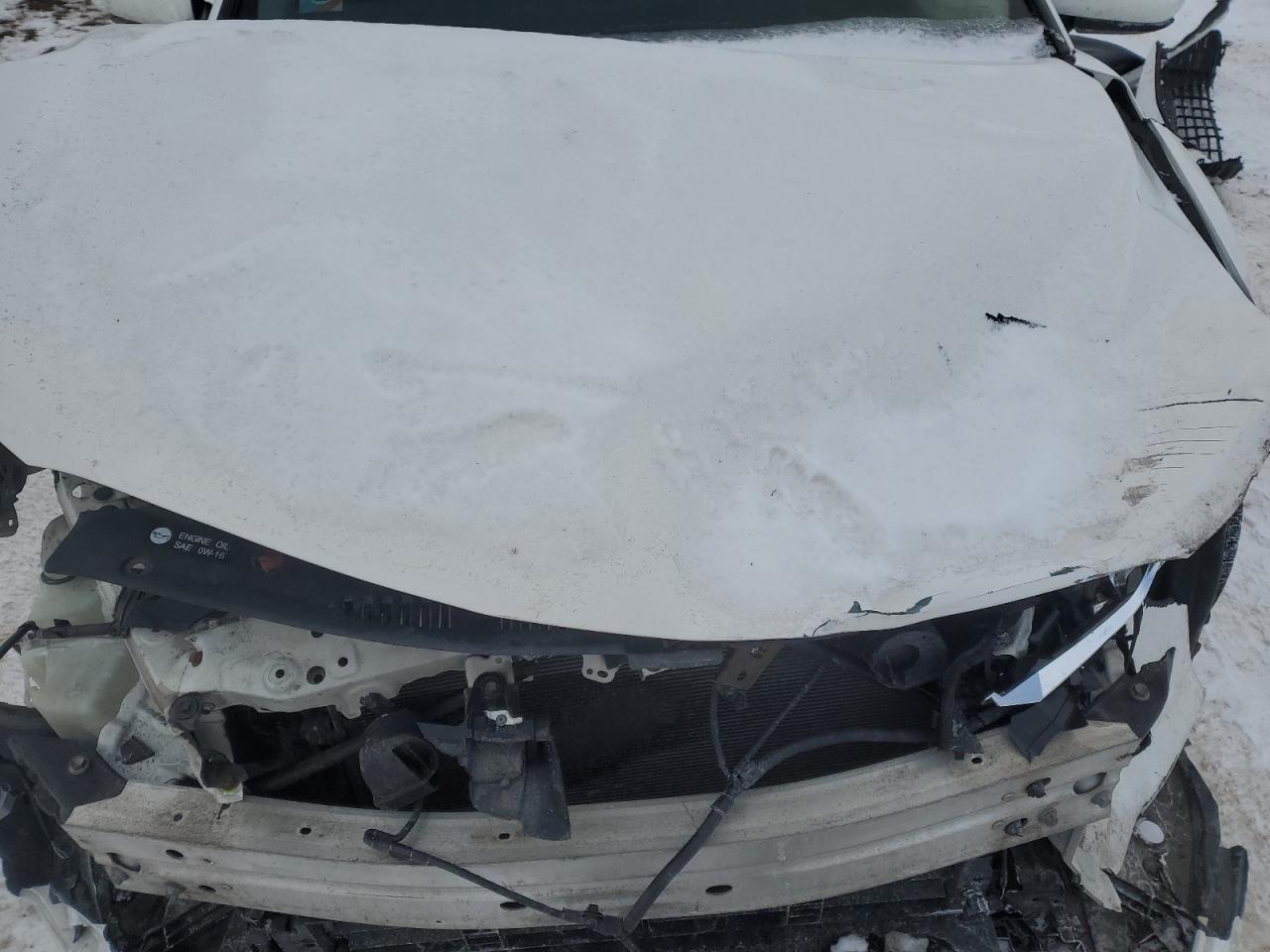 4T1B31HK9KU510561 TOYOTA CAMRY 2019