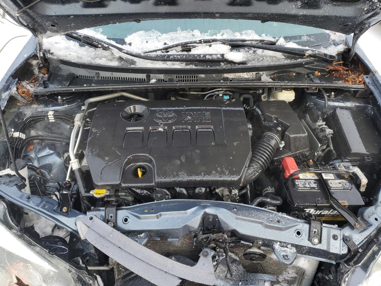 2T1BPRHE2GC515204 TOYOTA COROLLA 2016