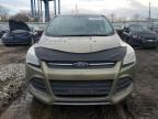 2013 Ford Escape Se   на продаже в Chicago Heights, IL - Minor Dent/Scratches