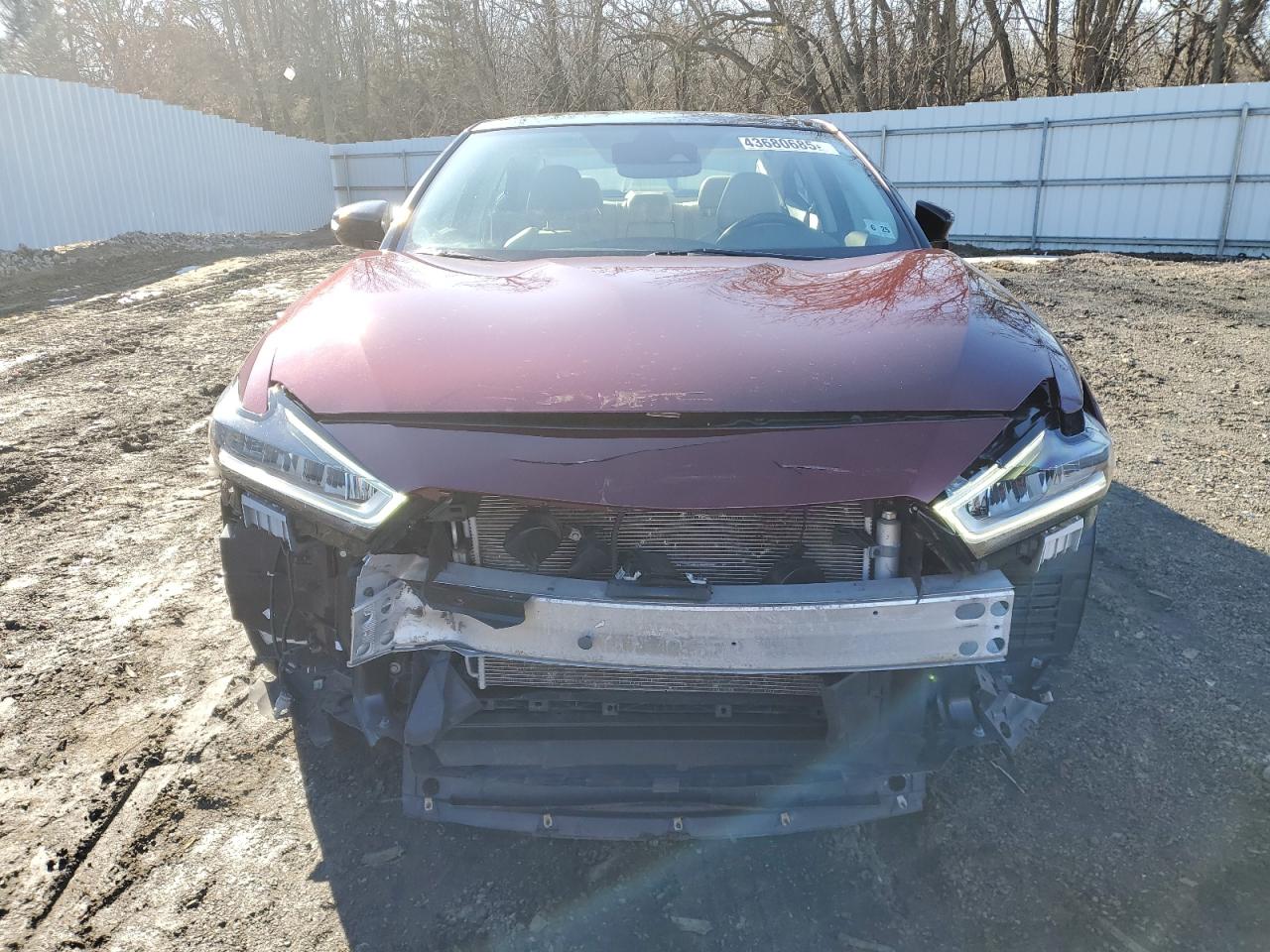 1N4AA6DV7LC371188 NISSAN MAXIMA 2020