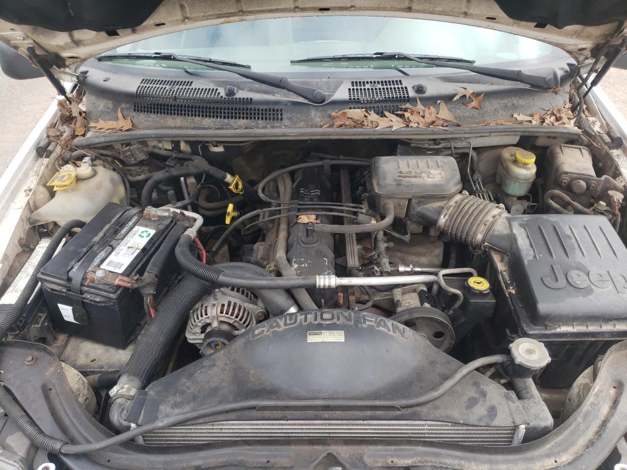 2000 Jeep Grand Cherokee Laredo VIN: 1J4G248S1YC229104 Lot: 43393195