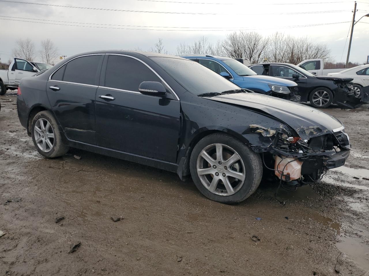 2005 Acura TSX - Image 4