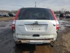 2007 Honda Cr-V Exl продається в New Britain, CT - Rear End