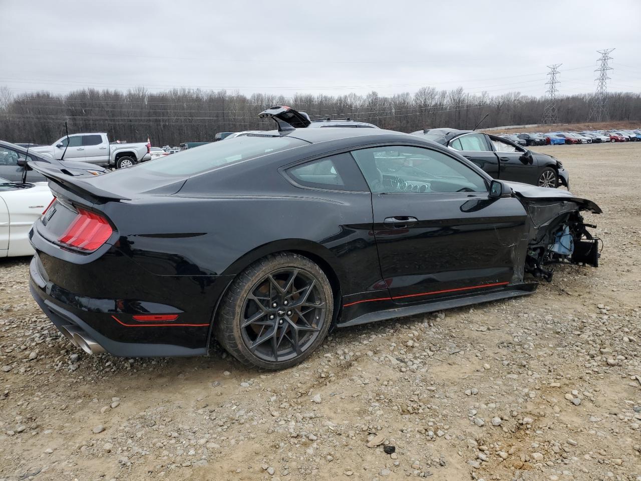 1FA6P8R05M5552423 FORD MUSTANG 2021