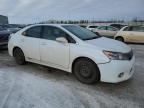 2010 LEXUS HS 250H for sale at Copart AB - EDMONTON