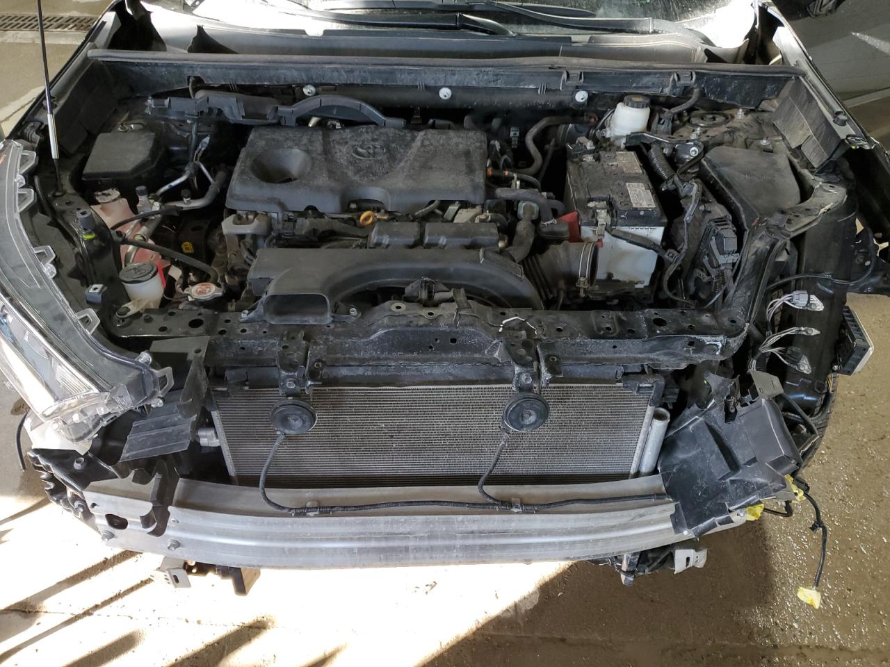 2T3A1RFV9MW240562 TOYOTA RAV4 2021