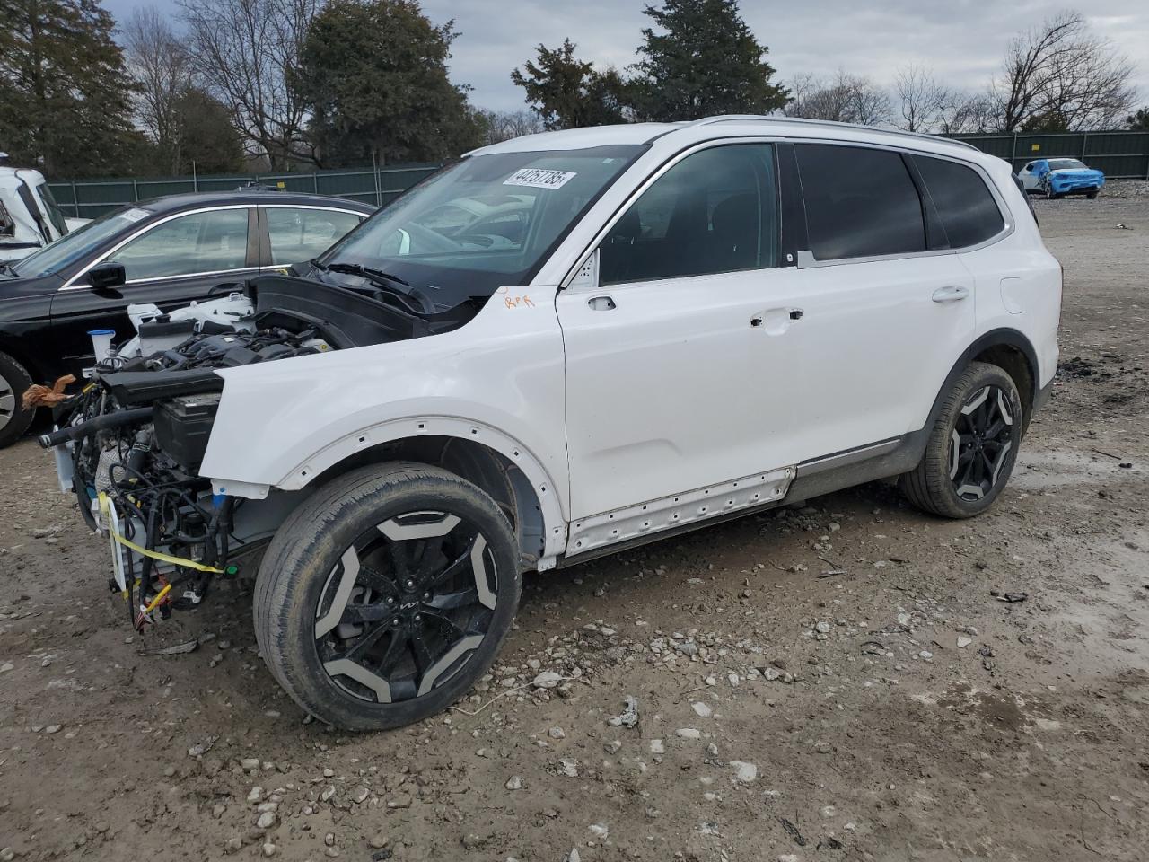 2023 Kia Telluride - Image 1