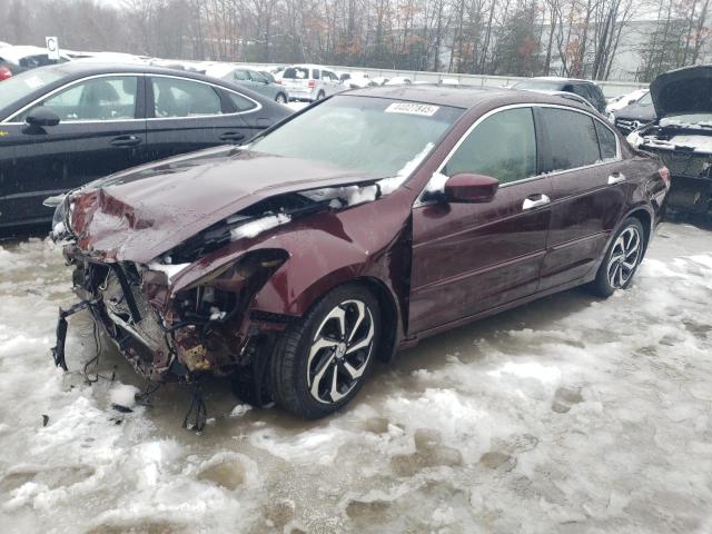 2010 Honda Accord Exl