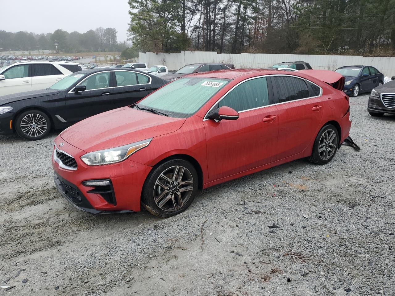2019 Kia Forte - Image 1