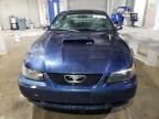 2001 Ford Mustang Gt de vânzare în North Billerica, MA - Vandalism