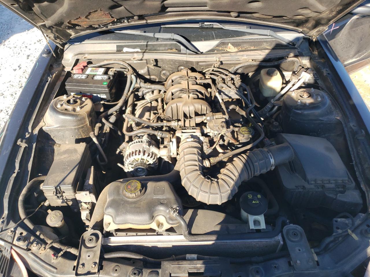 2007 Ford Mustang - Image 11