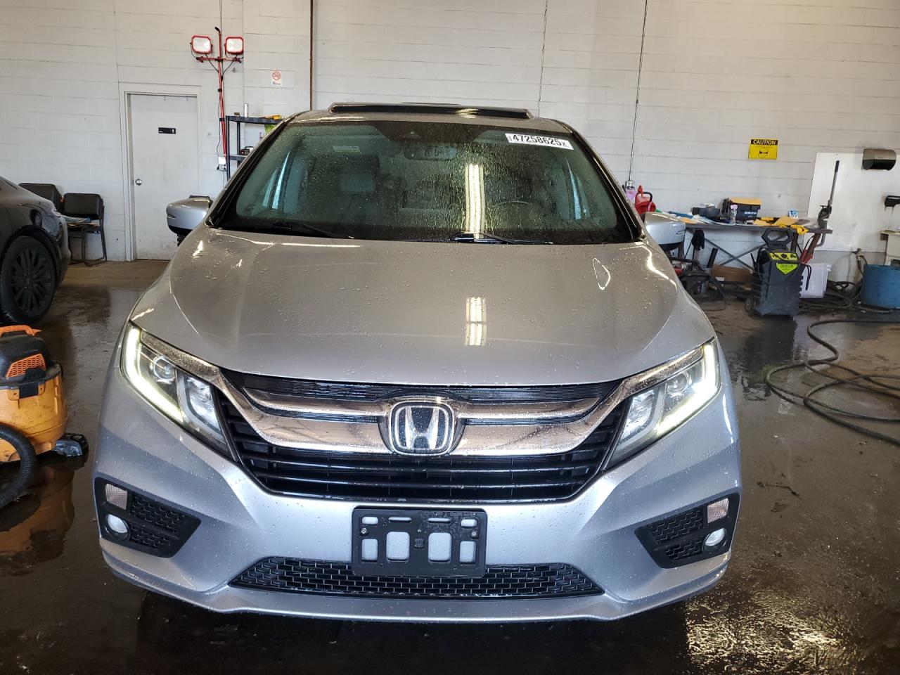 5FNRL6H71KB057556 HONDA All Models 2019