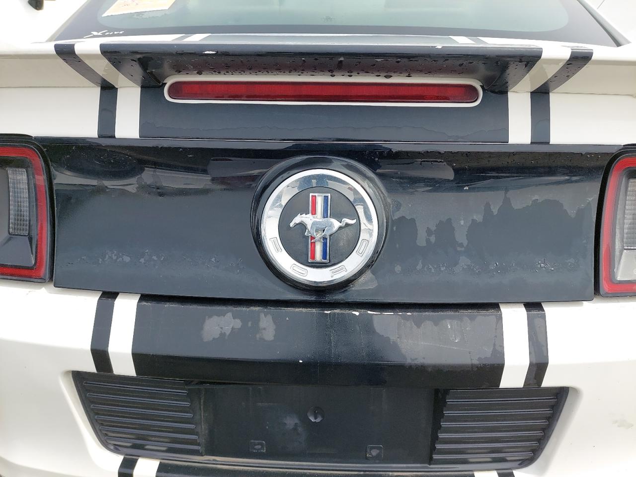 1ZVBP8AM1D5237641 - 2013 FORD MUSTANG - #45436755