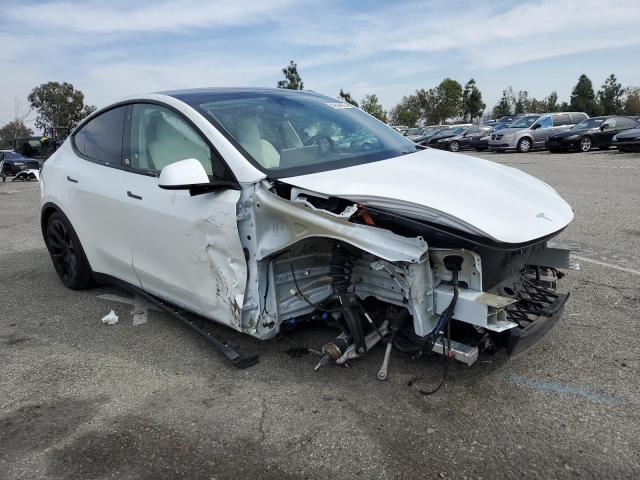  TESLA MODEL Y 2023 Белый