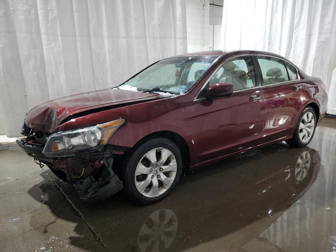 2010 Honda Accord - Image 1