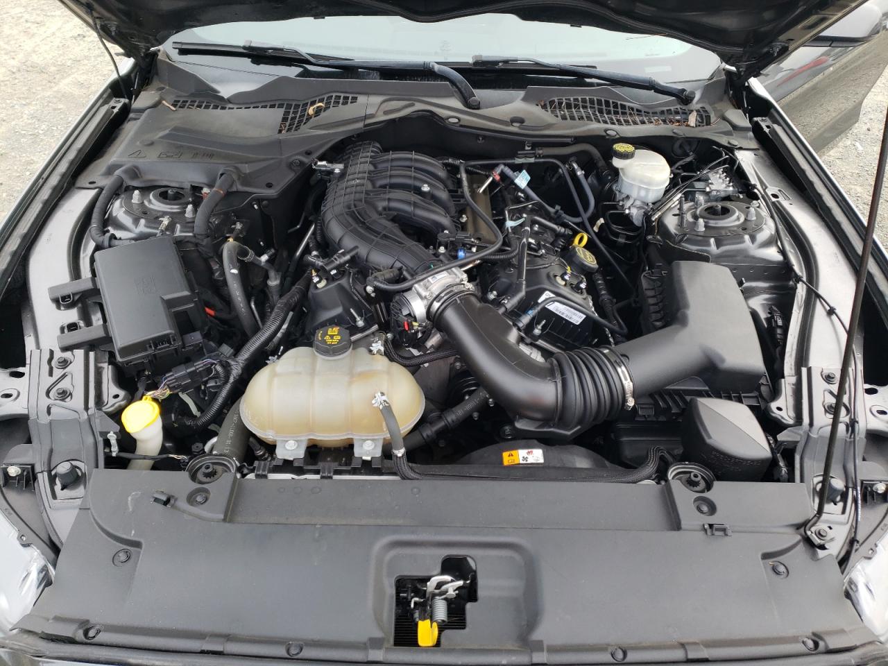 1FA6P8AM5H5317122 FORD ALL Models 2017