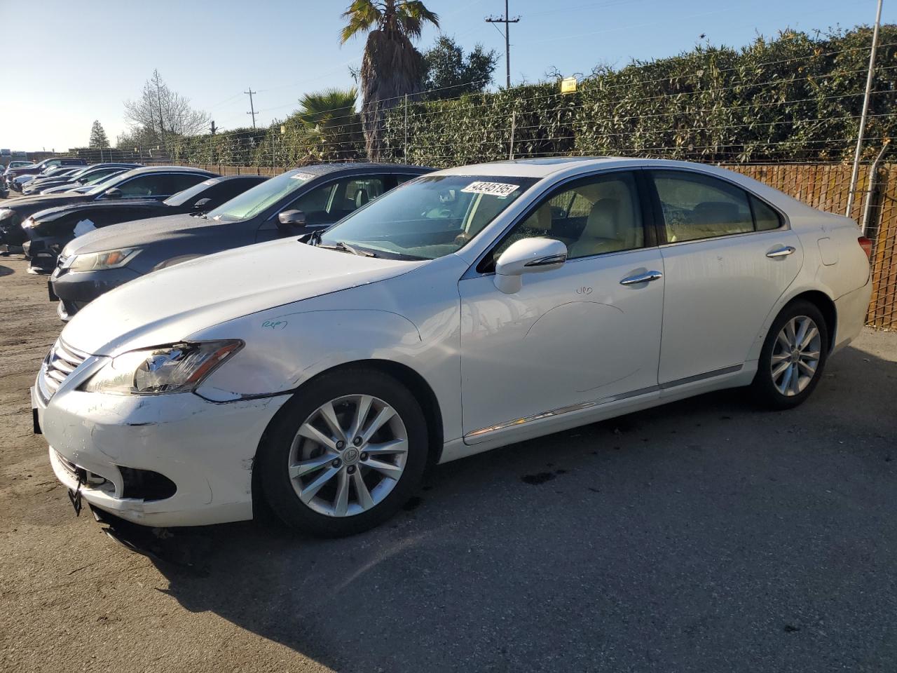 2010 Lexus ES - Image 1