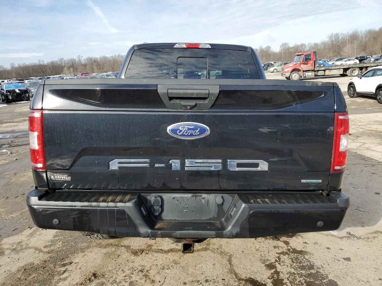 1FTEW1EP4LFA10368 FORD F-150 2020