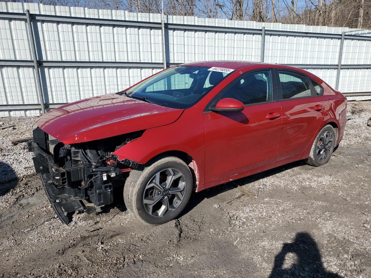 2019 Kia Forte - Image 1