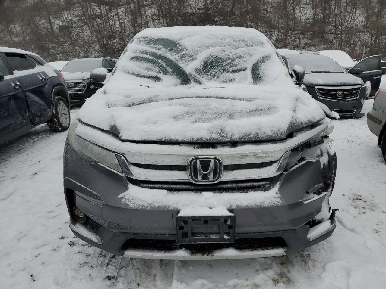 5FNYF6H92KB020391 HONDA PILOT 2019